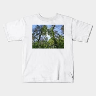 An endless forest Kids T-Shirt